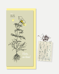 Collection image for: Grußkarte mit Samen