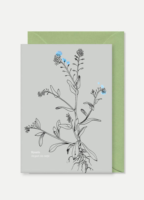 Greeting card 'Forget me not' with envelope